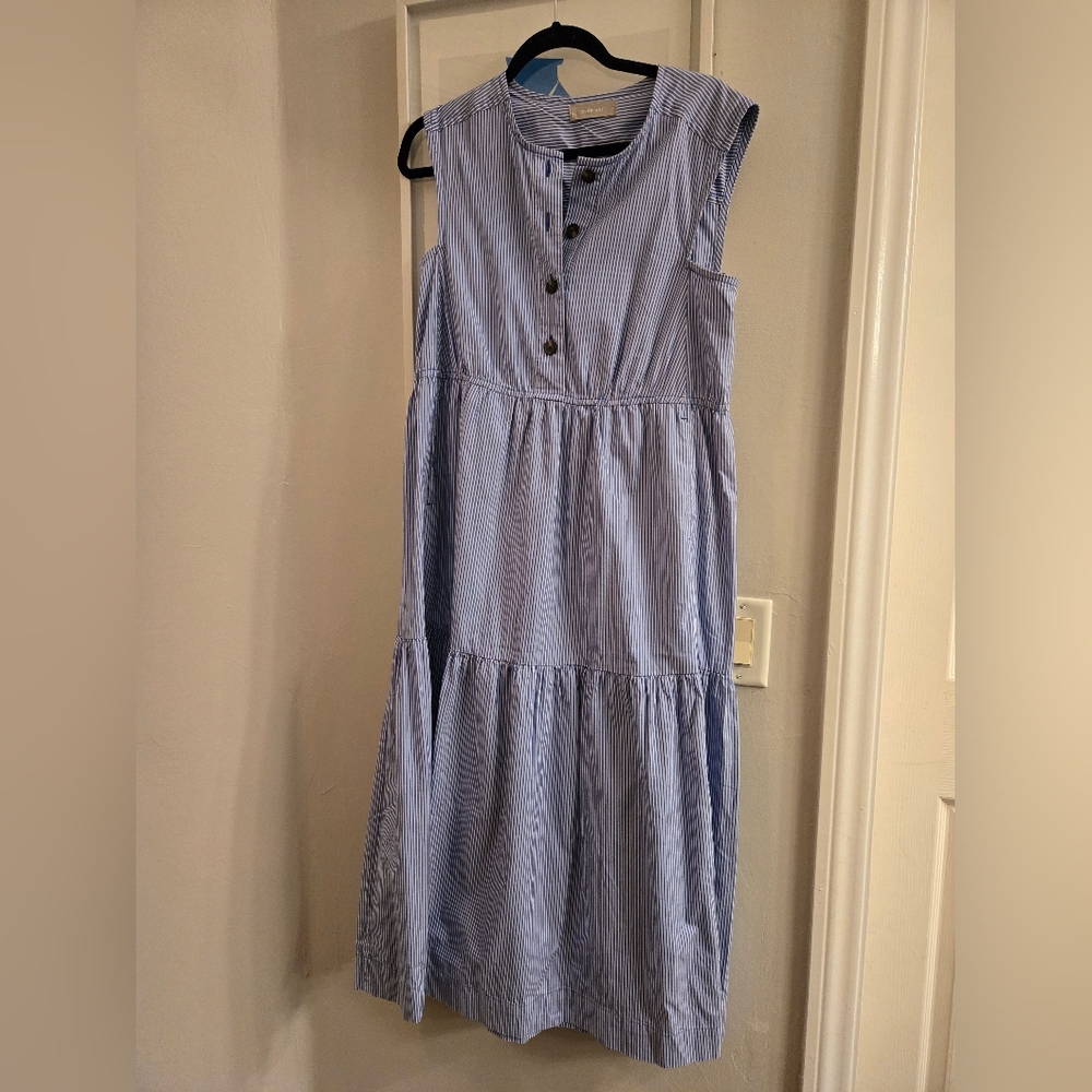 Everlane Sleeveless Blue Striped Dress